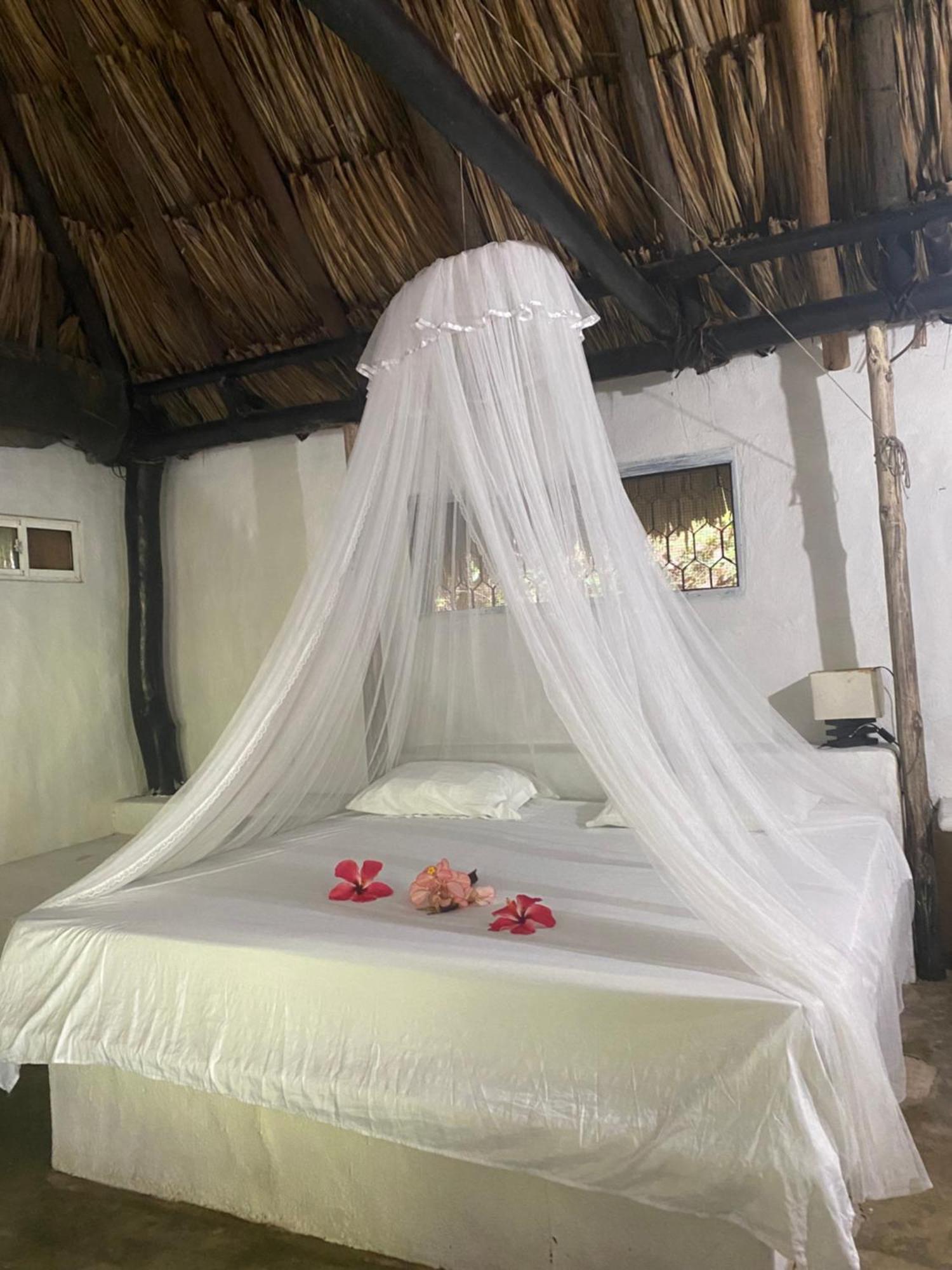 Taironaka Eco Hotel Don Diego Kültér fotó